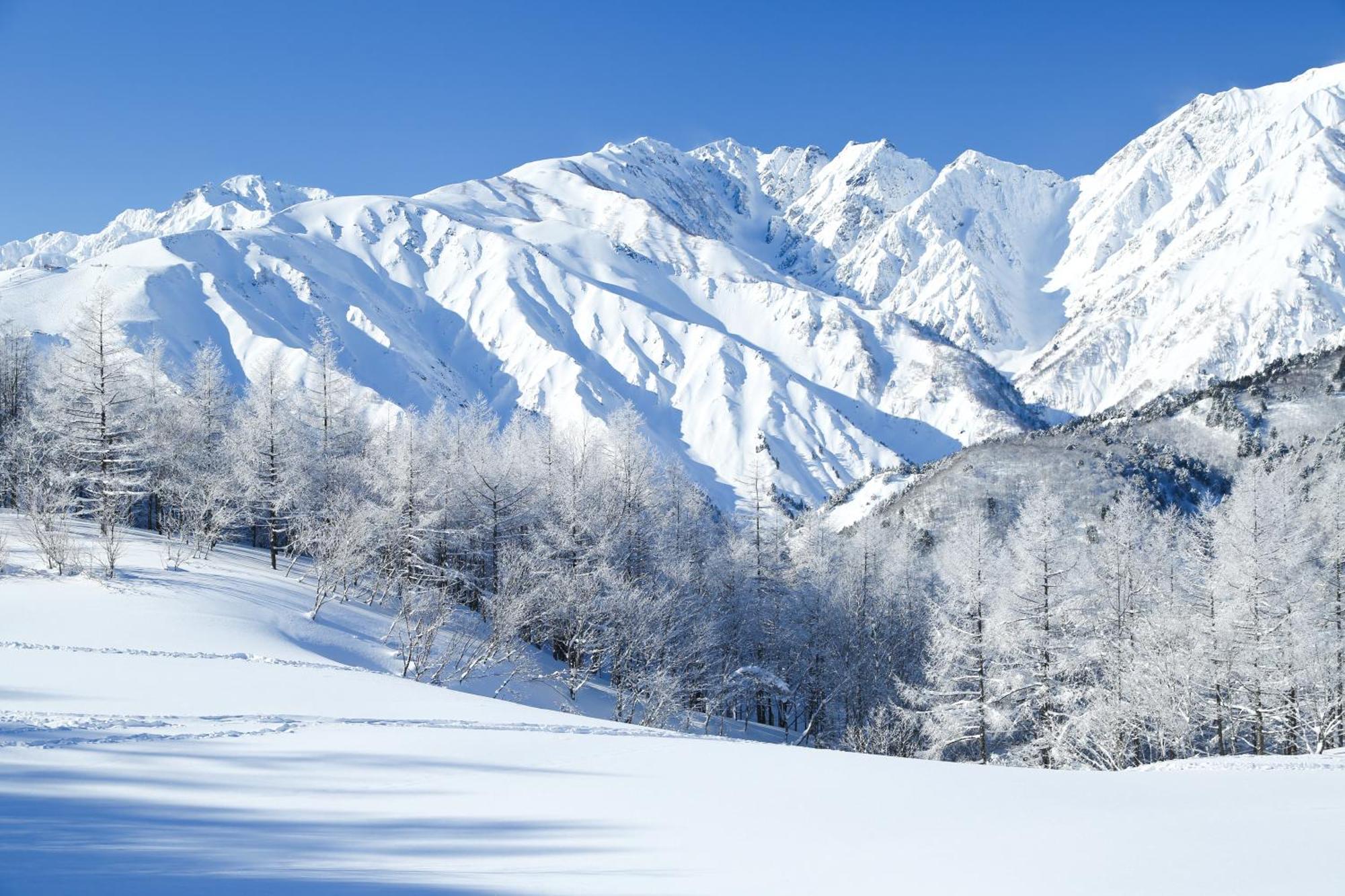 Hakuba Hatago Maruhachi Exterior foto